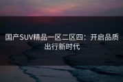 国产SUV精品一区二区四：开启品质出行新时代