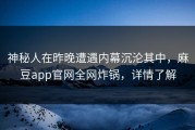 神秘人在昨晚遭遇内幕沉沦其中，麻豆app官网全网炸锅，详情了解
