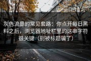 灰色流量的常见套路：你点开每日黑料之后，浏览器地址栏里的这串字符很关键（别被标题骗了）