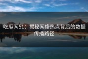 吃瓜网51：揭秘网络热点背后的数据传播路径