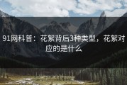 91网科普：花絮背后3种类型，花絮对应的是什么