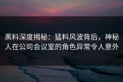 黑料深度揭秘：猛料风波背后，神秘人在公司会议室的角色异常令人意外