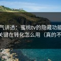 一口气讲透：蜜桃tv的隐藏功能不神秘，关键在转化怎么用（真的不夸张）