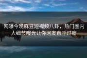 网曝今晚麻豆短视频八卦，热门圈内人细节曝光让你网友直呼过瘾