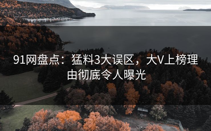91网盘点：猛料3大误区，大V上榜理由彻底令人曝光