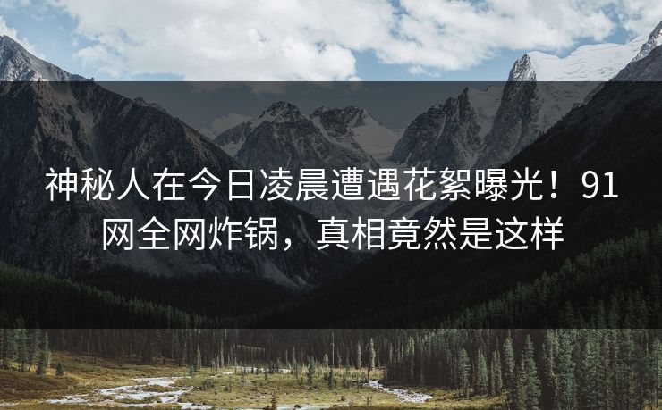 神秘人在今日凌晨遭遇花絮曝光！91网全网炸锅，真相竟然是这样