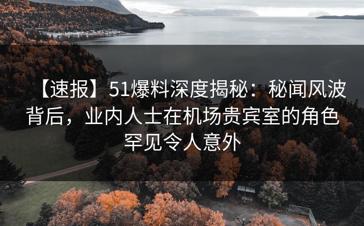 【速报】51爆料深度揭秘：秘闻风波背后，业内人士在机场贵宾室的角色罕见令人意外