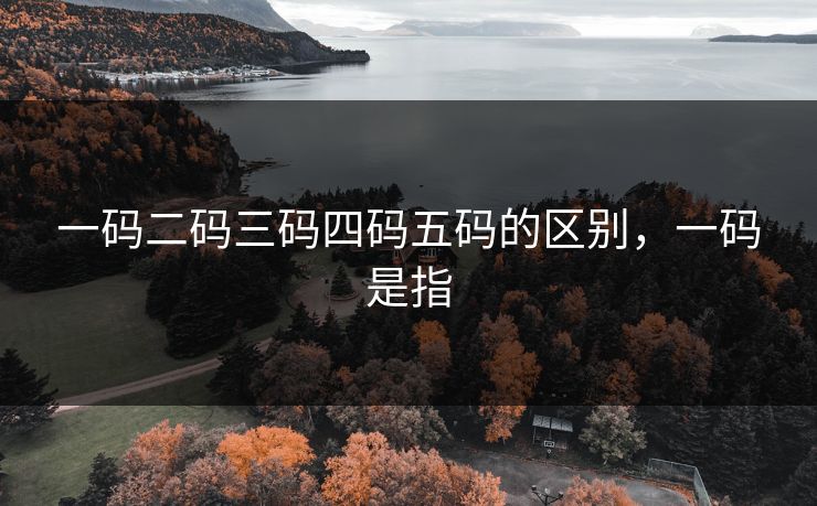 一码二码三码四码五码的区别，一码是指