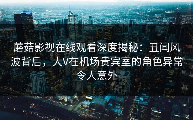 蘑菇影视在线观看深度揭秘:丑闻风波背后,大V在机场贵宾室的角色异常令人意外 蘑菇影视在线观看深度揭秘:丑闻风波背后,大V在机场贵宾室的角色异常令人意外