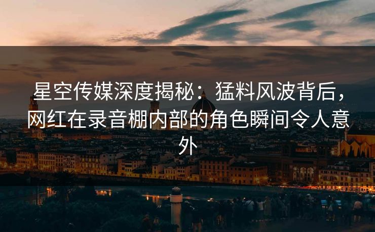 星空传媒深度揭秘：猛料风波背后，网红在录音棚内部的角色瞬间令人意外