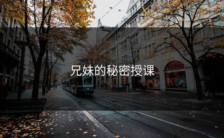 兄妹的秘密授课